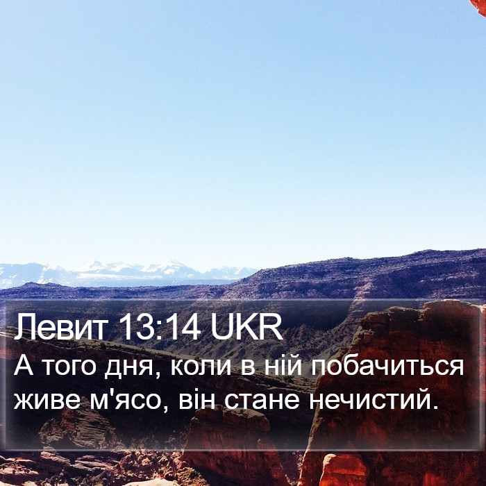 Левит 13:14 UKR Bible Study