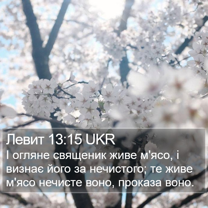 Левит 13:15 UKR Bible Study