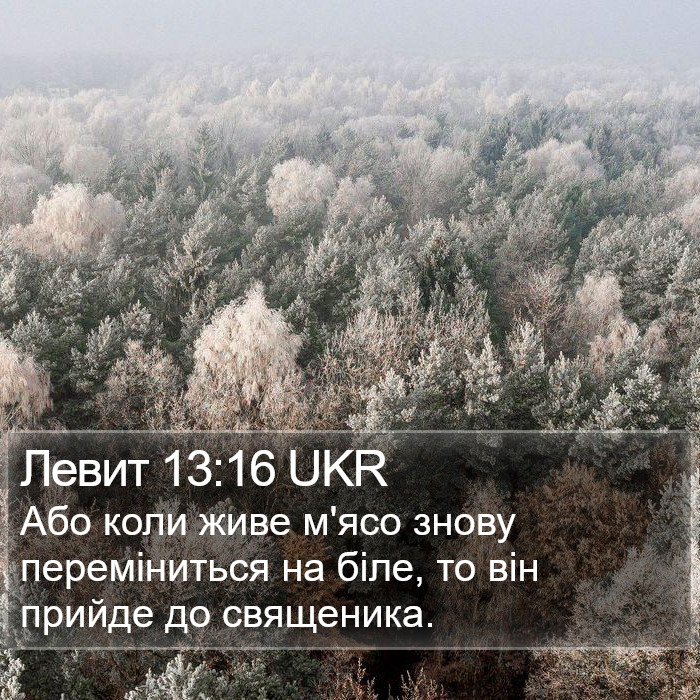 Левит 13:16 UKR Bible Study