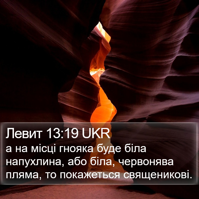 Левит 13:19 UKR Bible Study