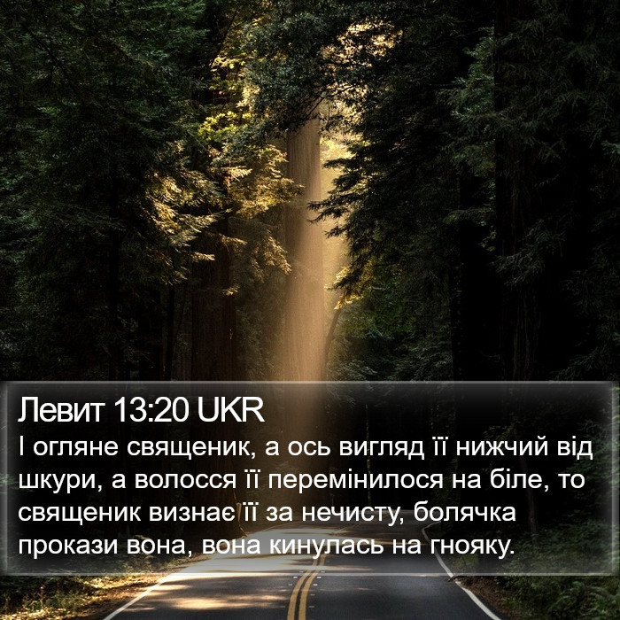 Левит 13:20 UKR Bible Study