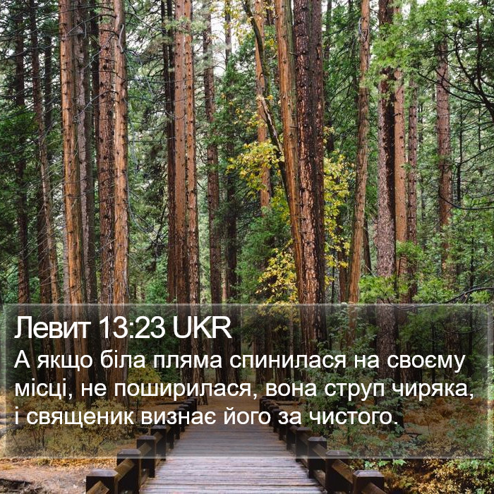 Левит 13:23 UKR Bible Study