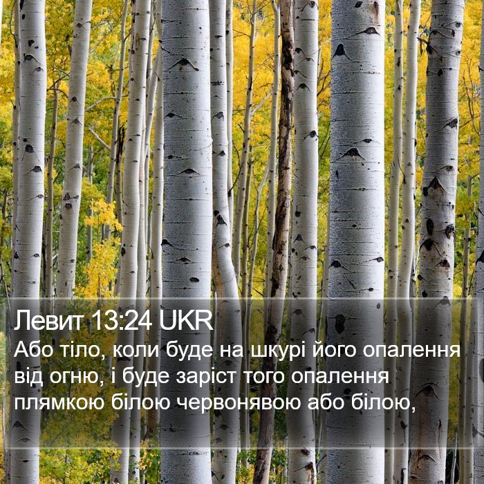 Левит 13:24 UKR Bible Study