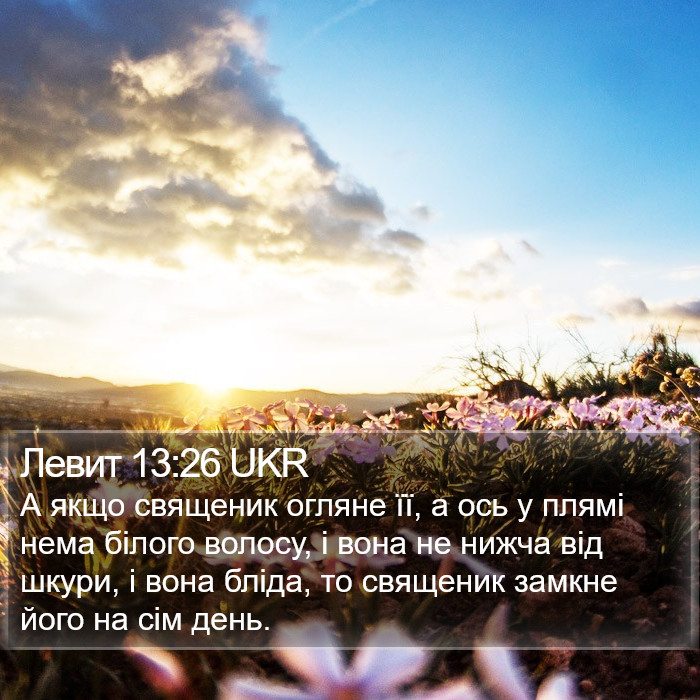 Левит 13:26 UKR Bible Study