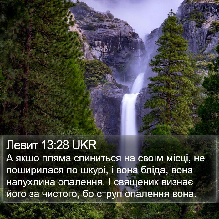 Левит 13:28 UKR Bible Study