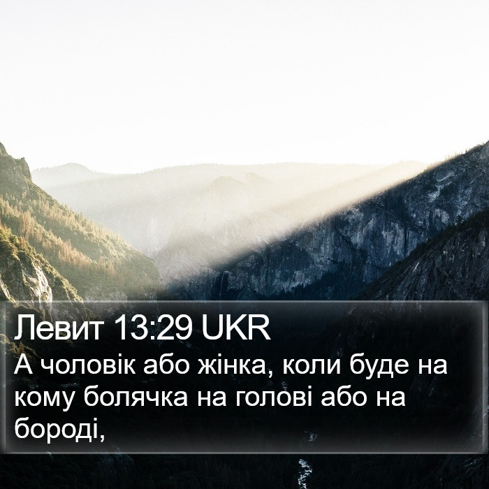 Левит 13:29 UKR Bible Study