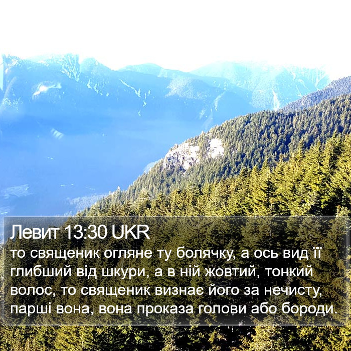 Левит 13:30 UKR Bible Study