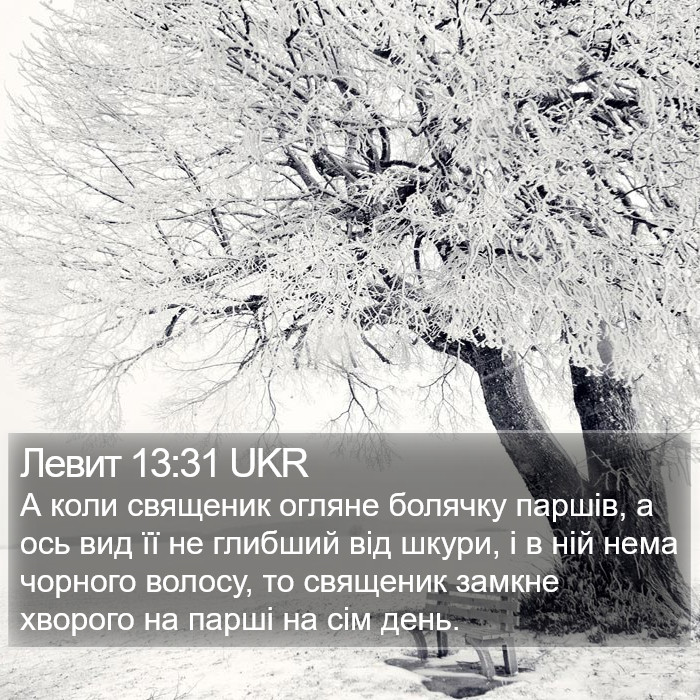 Левит 13:31 UKR Bible Study