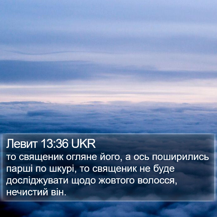 Левит 13:36 UKR Bible Study