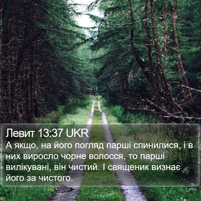 Левит 13:37 UKR Bible Study