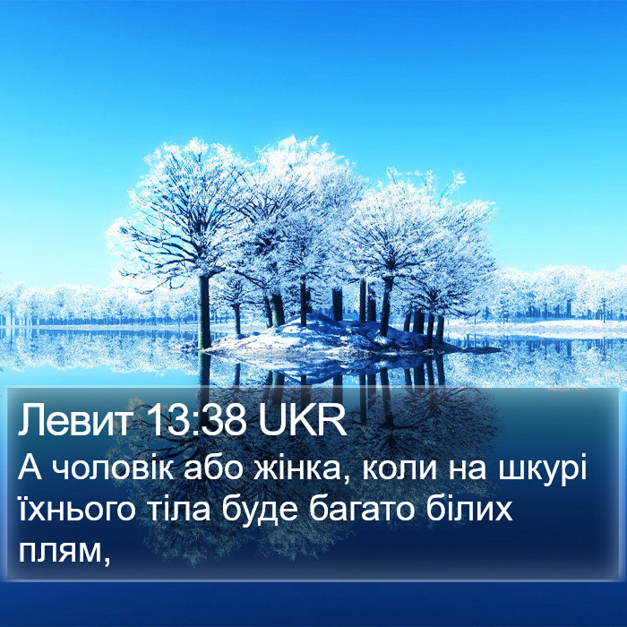 Левит 13:38 UKR Bible Study