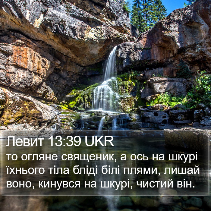 Левит 13:39 UKR Bible Study