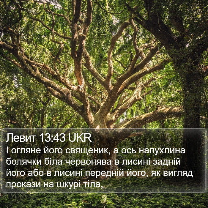 Левит 13:43 UKR Bible Study