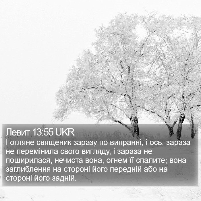 Левит 13:55 UKR Bible Study