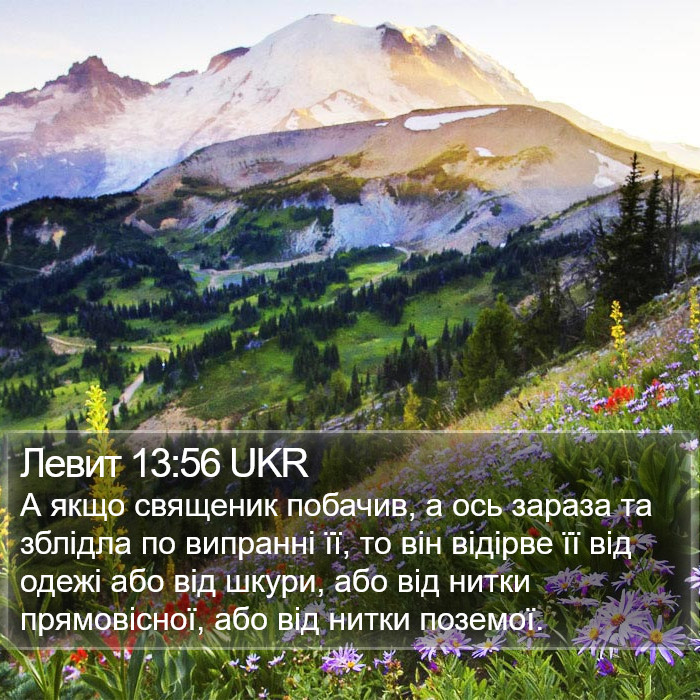 Левит 13:56 UKR Bible Study