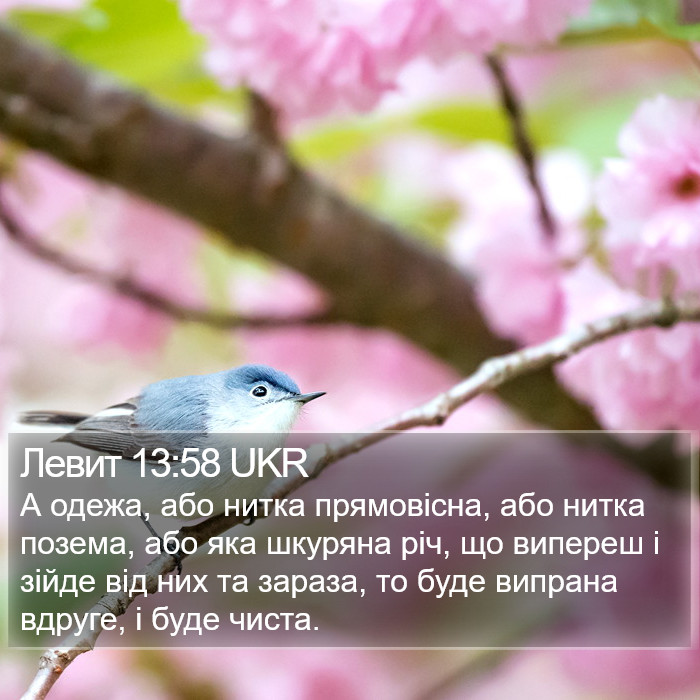 Левит 13:58 UKR Bible Study