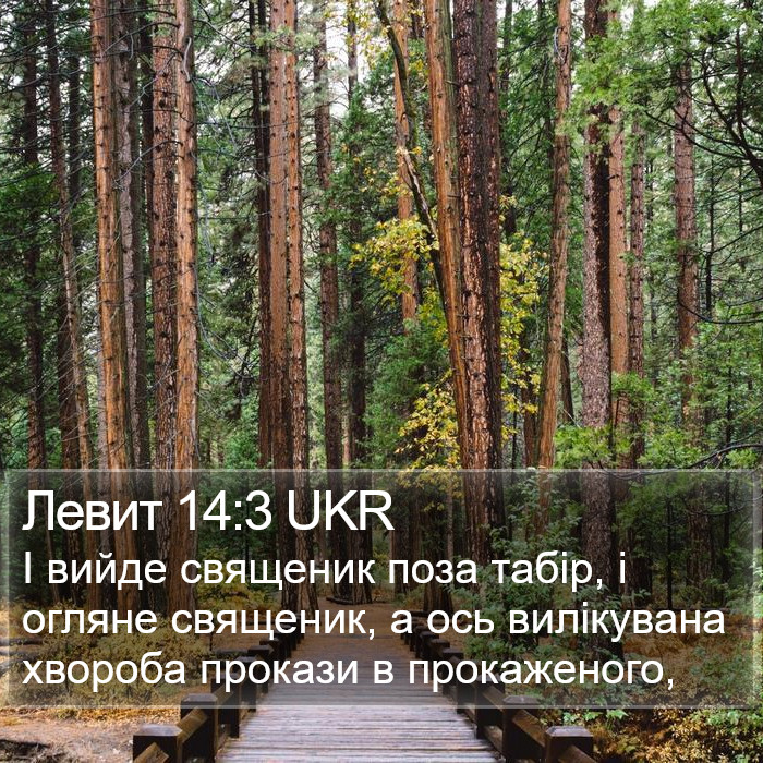 Левит 14:3 UKR Bible Study