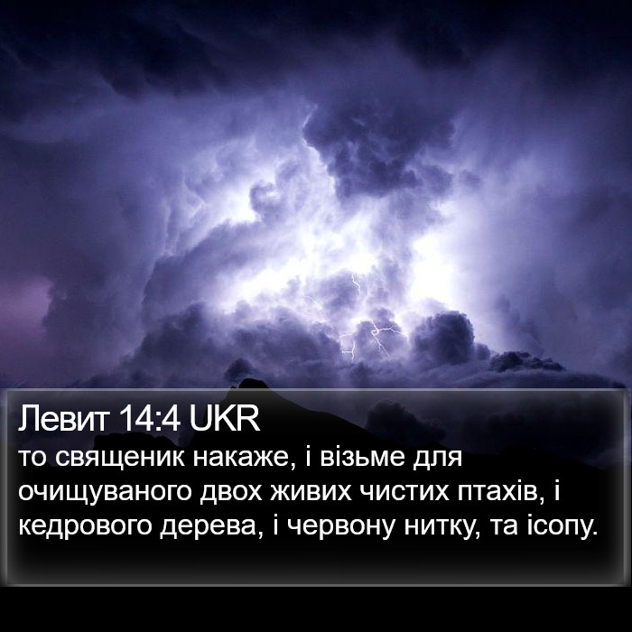 Левит 14:4 UKR Bible Study