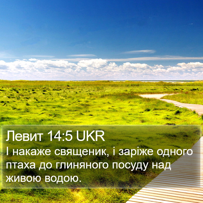 Левит 14:5 UKR Bible Study