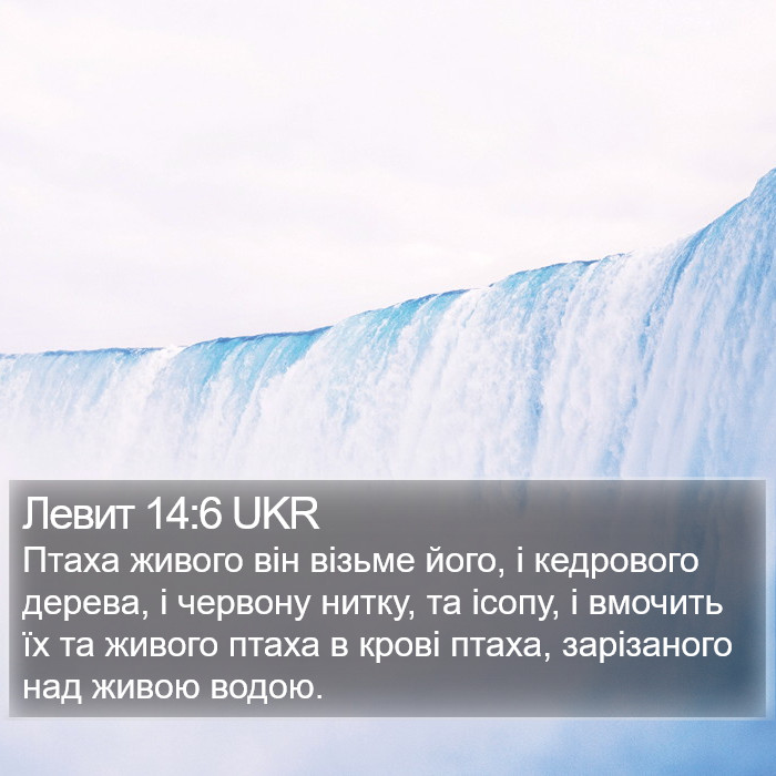 Левит 14:6 UKR Bible Study