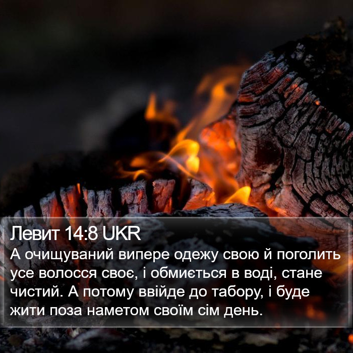 Левит 14:8 UKR Bible Study