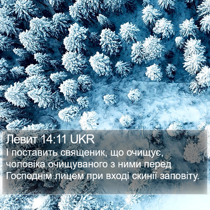 Левит 14:11 UKR Bible Study