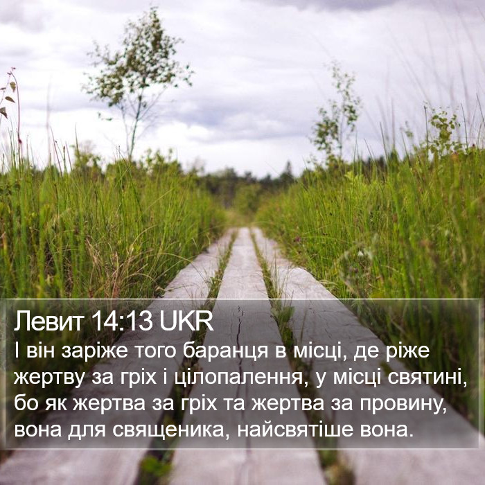 Левит 14:13 UKR Bible Study