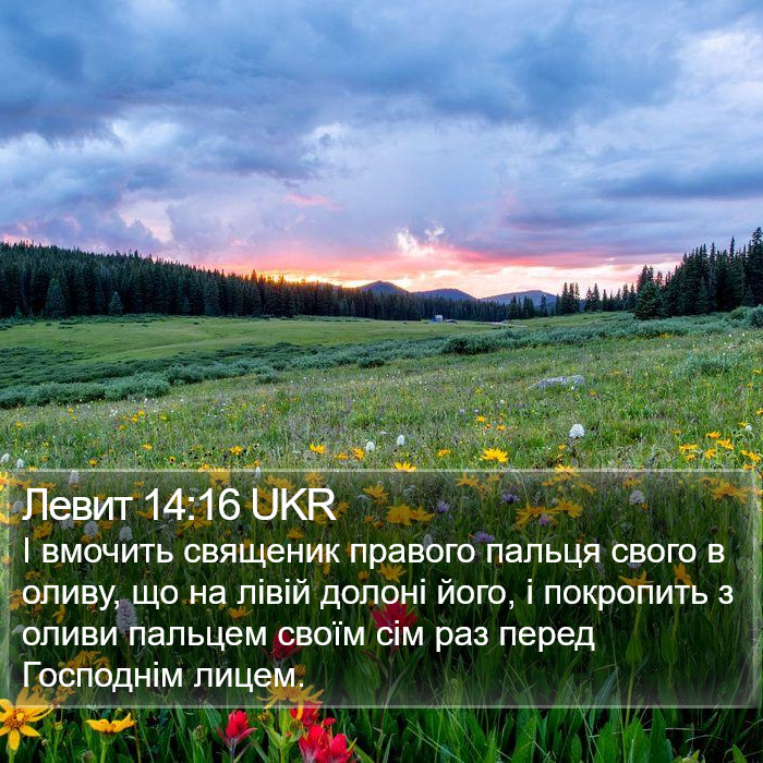 Левит 14:16 UKR Bible Study