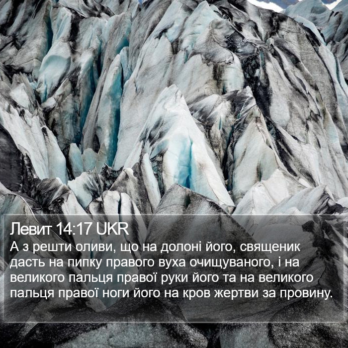 Левит 14:17 UKR Bible Study