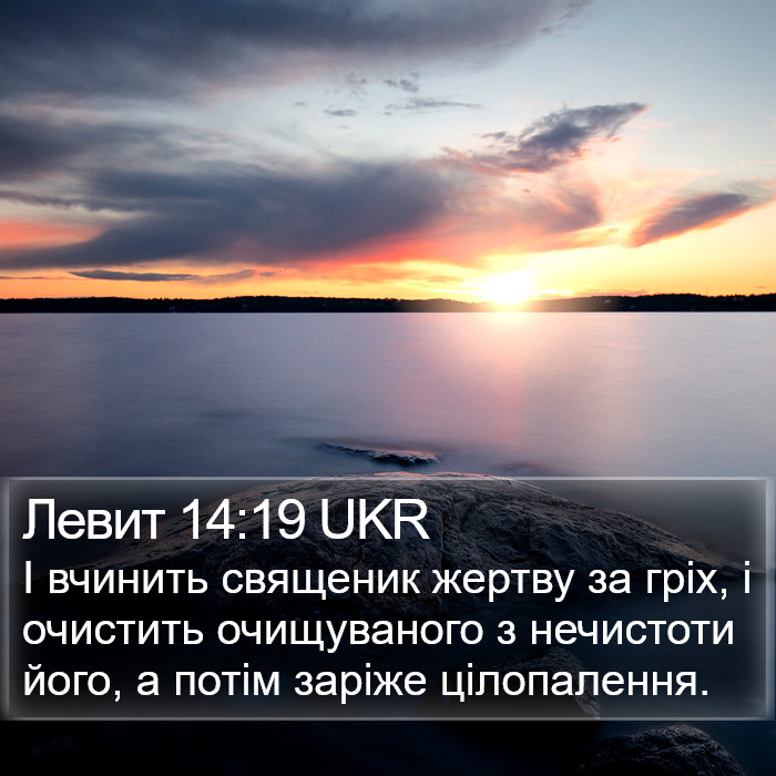 Левит 14:19 UKR Bible Study