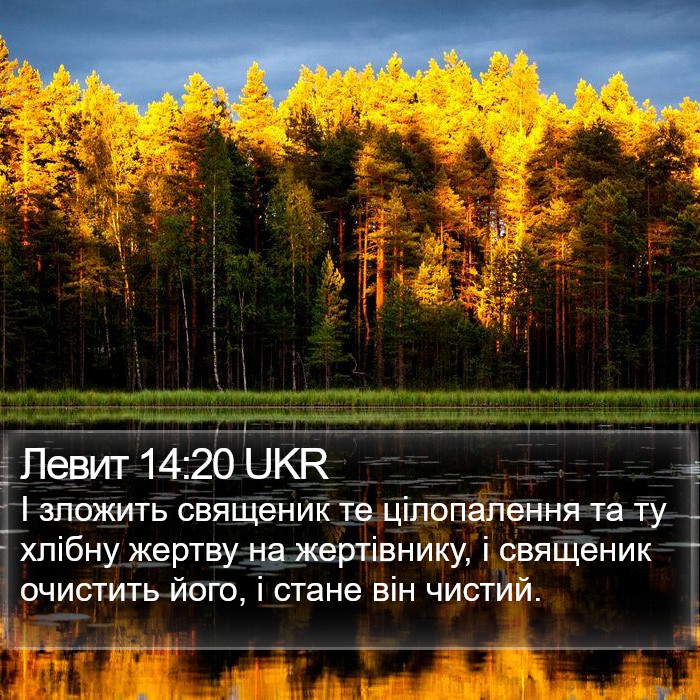 Левит 14:20 UKR Bible Study