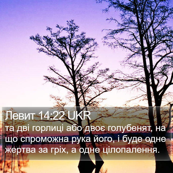 Левит 14:22 UKR Bible Study