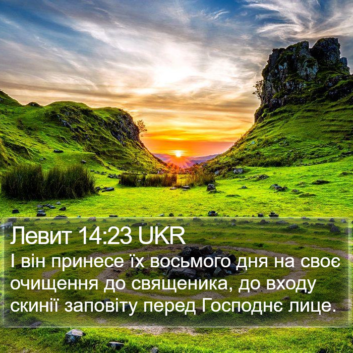 Левит 14:23 UKR Bible Study