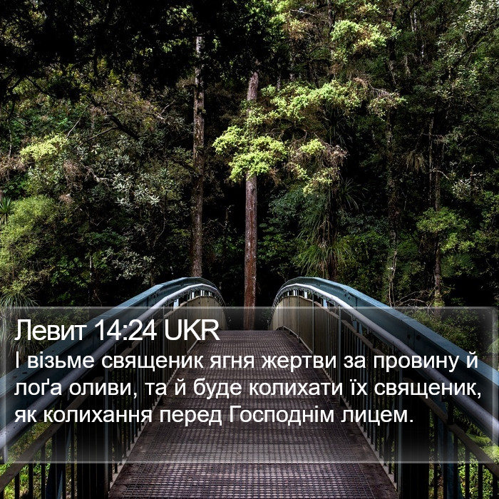 Левит 14:24 UKR Bible Study