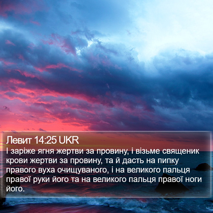 Левит 14:25 UKR Bible Study