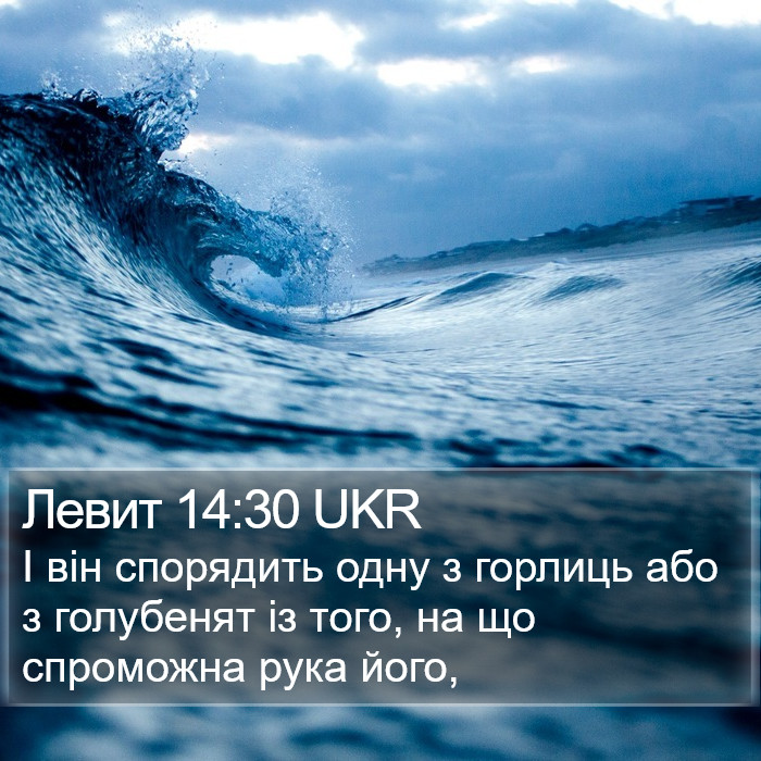 Левит 14:30 UKR Bible Study