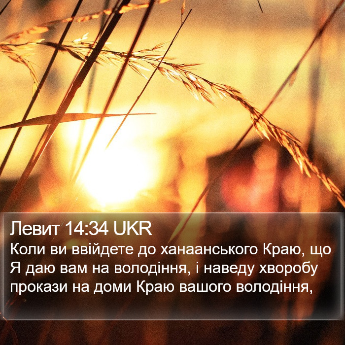 Левит 14:34 UKR Bible Study