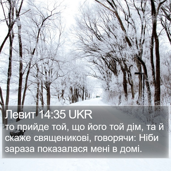 Левит 14:35 UKR Bible Study