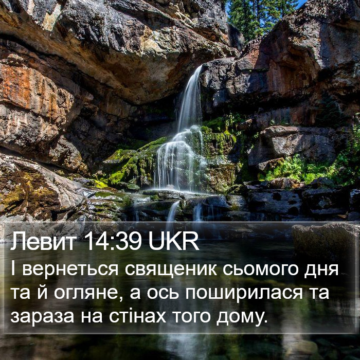 Левит 14:39 UKR Bible Study