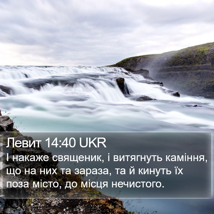 Левит 14:40 UKR Bible Study