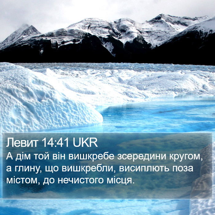 Левит 14:41 UKR Bible Study