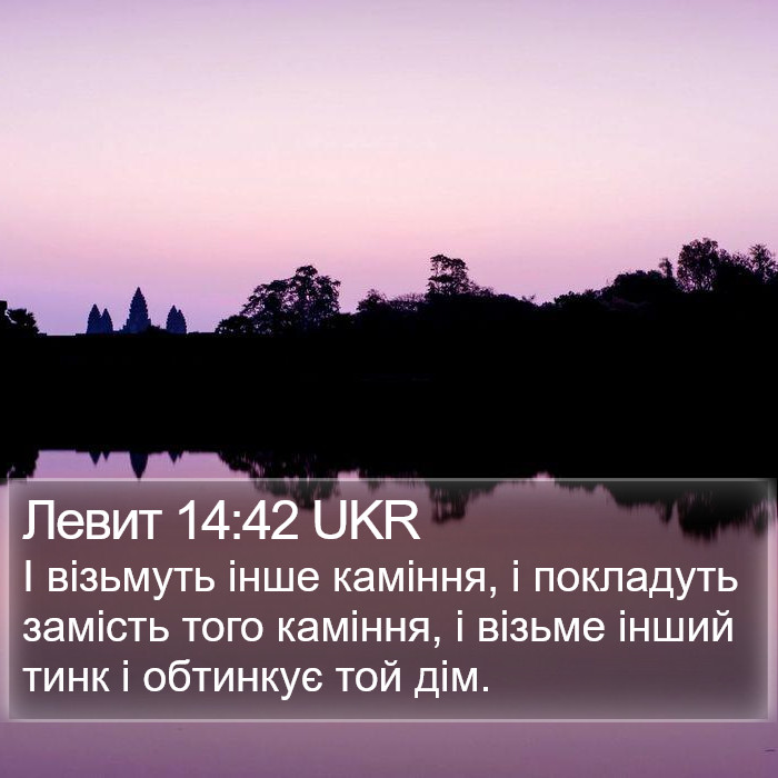 Левит 14:42 UKR Bible Study