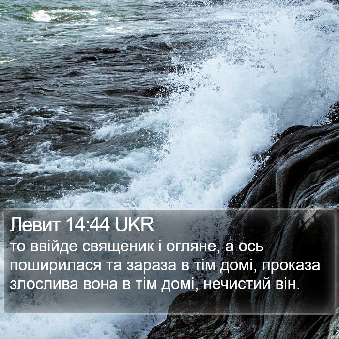 Левит 14:44 UKR Bible Study