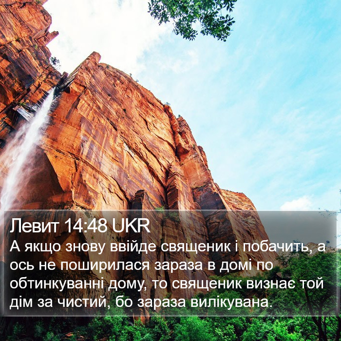 Левит 14:48 UKR Bible Study