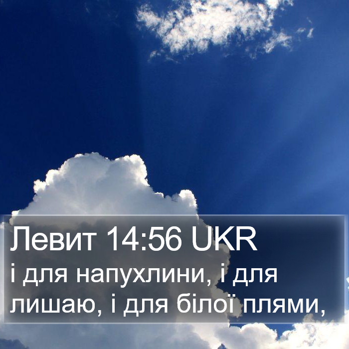 Левит 14:56 UKR Bible Study