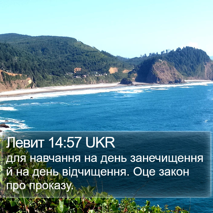 Левит 14:57 UKR Bible Study