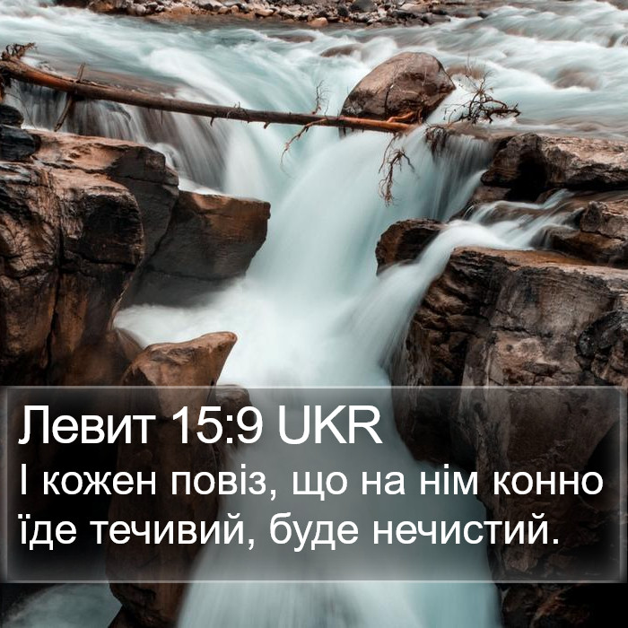 Левит 15:9 UKR Bible Study