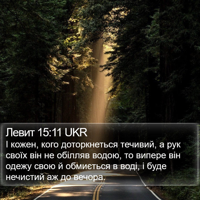 Левит 15:11 UKR Bible Study