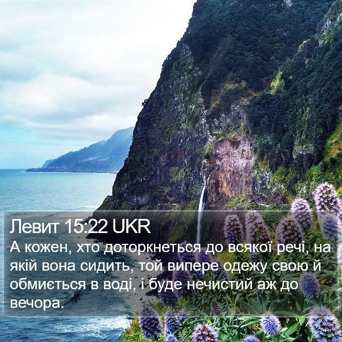 Левит 15:22 UKR Bible Study