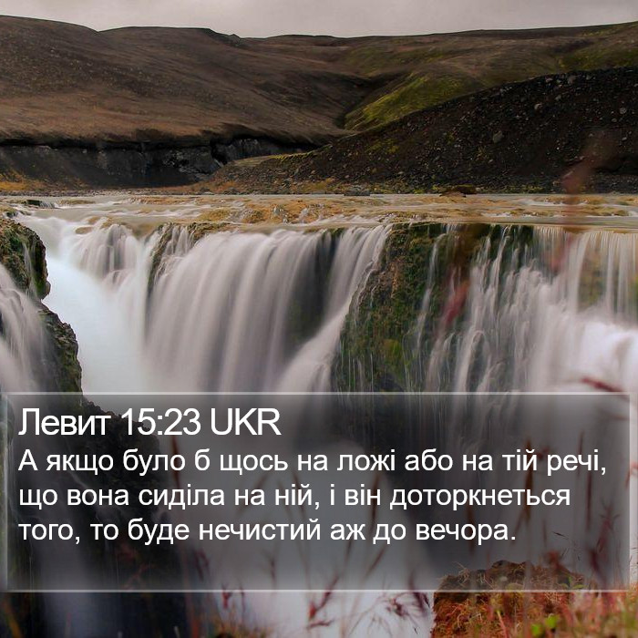 Левит 15:23 UKR Bible Study